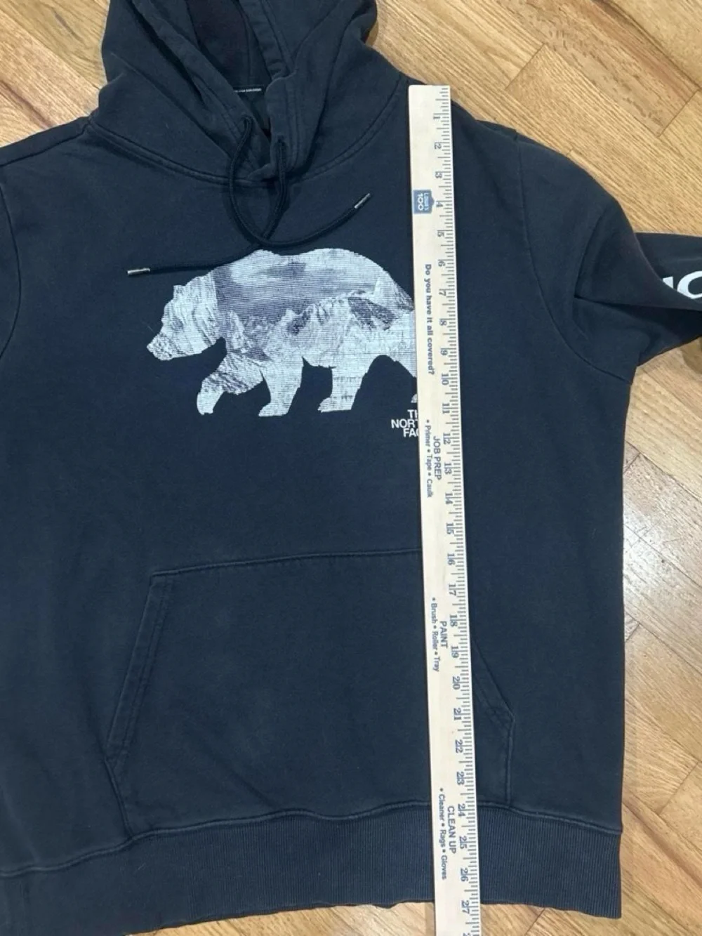 The North Face Black Crewneck Hoodie with Bear Graphic